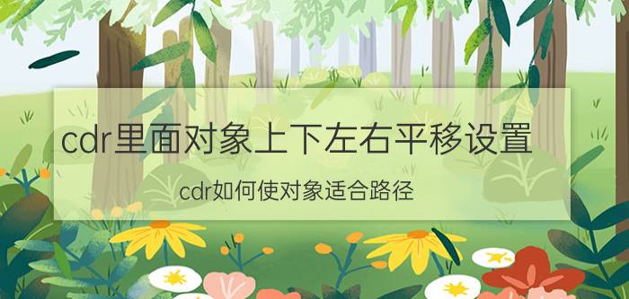 cdr里面对象上下左右平移设置 cdr如何使对象适合路径？